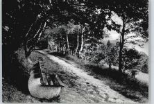 32545 W4970 Bergkirchen , Westf - Waldweg, Parkbank