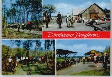 46535 W4220 Dinslaken - Ponyfarm