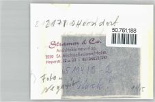 21762 W2178 Otterndorf , Niederelbe FOTO KEINE AK Foto mit Negativ