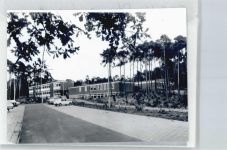 31595 W3074 Steyerberg FOTO KEINE AK Foto mit Negativ