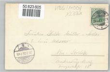 18546 O2331 Stubbenkammer - Baum Herthabuche