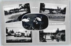 21481 W2058 Lauenburg , Elbe - Flusspartie, Schwäne