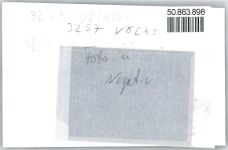 31832 W3214 Völksen - Foto mit Negativ