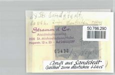 27628 W2856 Sandstedt FOTO KEINE AK Foto mit Negativ, Gasthof, Pension zum deutschen Haus