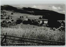 79853 W7825 Saig Foto AK Höhenluftkurort,Hochschwarzwald
