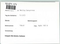 25863 W2251 Langeneß FOTO KEINE AK