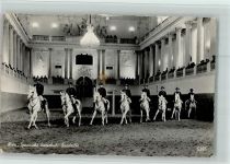 Wien 1. Bezirk, Innere Stadt Spanische Reitschule Quadrille Spanische Reitschule