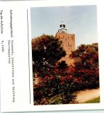 20095 W2191 Hamburg-Insel Neuwerk FOTO KEINE AK Foto montiert auf Karton Leuchtturm