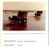 27472 W2190 Duhnen FOTO KEINE AK Wattwagen Foto montiert auf Karton