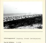 26465 W2941 Langeoog FOTO KEINE AK Strand Seitenverkehrt Foto montiert auf Karton