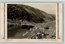 Riesengebirge - Am Kleinen Teich Teufelsbart