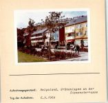 27498 W2192 Helgoland FOTO KEINE AK Grünanlagen an der Siemensterrasse Foto montiert auf Karton