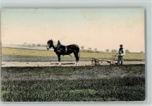 Pferdegspann , Bauer mit Pflug AK Tiergespann 1916