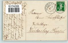 Dorfidylle und Blumen AK Pflanzen 1913 Prägedruck