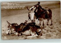 Verlag EAS Serie L 12-6 - AK Esel 1912 Foto AK