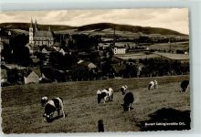 02681 O8605 Schirgiswalde - Kühe Rückseite mit Abschürfungen bzw Kleberesten