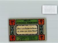 25863 W2251 Langeneß - Notgeld 30 Pfennig