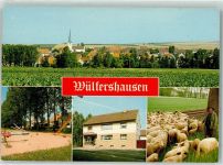 97618 W8741 Wülfershausen a d Saale - Schäfer mit Schafen