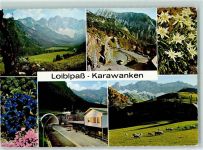 9170 Zell-Pfarre / Sele-Cerkev - Loiblpaß Karawanken Edelweiss Enzian