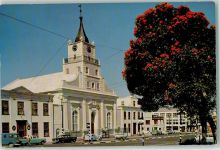 Kapstadt Cape Town - Lutheran Church Flowering Gum-Tree Strand Street