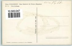 San Sadurni de Noya Casa Codorniu Nr. 5 Una Bodega Wein 1960