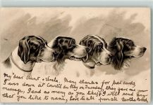 Lithographie AK Jagdhund 1904 Gebrauchsspuren