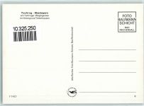 83373 W8221 Taching a. See - Wagingersee Kühe