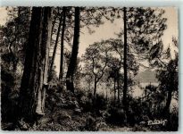 40110 Onesse-et-Laharie - Gascogne