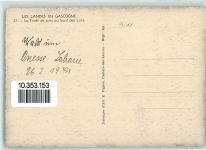 40110 Onesse-et-Laharie - Gascogne