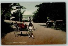 Durban - Tracht Riksha