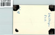 71332 W7050 Waiblingen , Rems 1913 Privatfoto KEINE AK Rems Ort handschriftlich