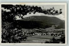 2753 Ober-Piesting Foto AK Ruine Starhemberg Hohe Wand