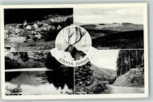 37441 W3423 Steina , Südharz - Stöberhai Wiesenbeker Teich Steinatal Hirsch