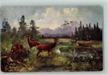 Rehböcke - Jagdtiere AK Stempelfleck Müller jun. (München) 1910 Künstlerkarte