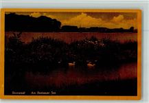 W2202 Barmstedt am Rantzauer See Enten Ente