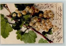 Nr. 708 - Früchte; Stachelbeeren AK Rommel