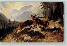 Palette Serie 496 - Hirschbrunft - Jagdtiere Müller jun. (München) 1908