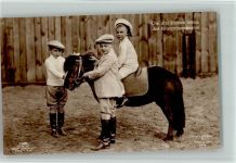 Die drei ältesten Söhne mit einem Pony Liersch Nr. 7186 Adel Kronprinzenpaar Foto AK