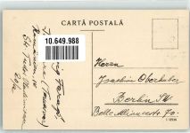 Temesvar Timisoara - Palatul Dauerbach si Lupoacica Romana