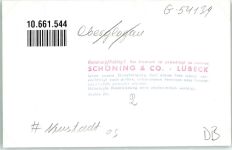 Neustadt O.S. Prudnik Privatfoto KEINE AK Marien Apotheke