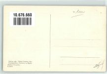 W1000 Berlin Mitte C / 2256 Affen Orang Utan Weibchen Cleo mit Jungen Zoo Foto AK