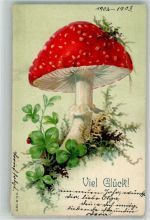 Viel Glück Glücksklee Fliegenpilz Pilz 1902 Lithographie / Künstlerkarte