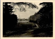 16775 O1431 Neuglobsow - Blick auf Dagow