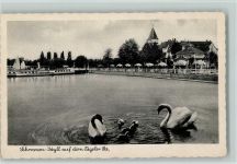 10115 W1000 Berlin, Tegel - Tegeler See Schwäne