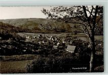 52396 W5169 Hasenfeld