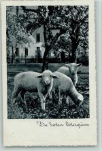 Die besten Ostergrüße - Schafe ca 1938 AK Schaf