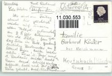 Texel, Langs de Rozendijk - Schafherde Foto 1954 AK Schaf