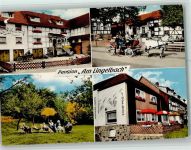 34593 W3589 Rengshausen , Hess - Pension Am Lingelbach Pferdekutsche 4-Bildaufnahme