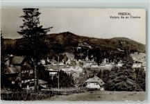 Predeal - Vedere de pe Cioplea