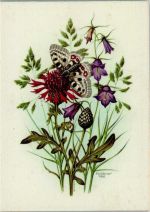sign Gönner - Blumen und Schmetterling Schmetterling